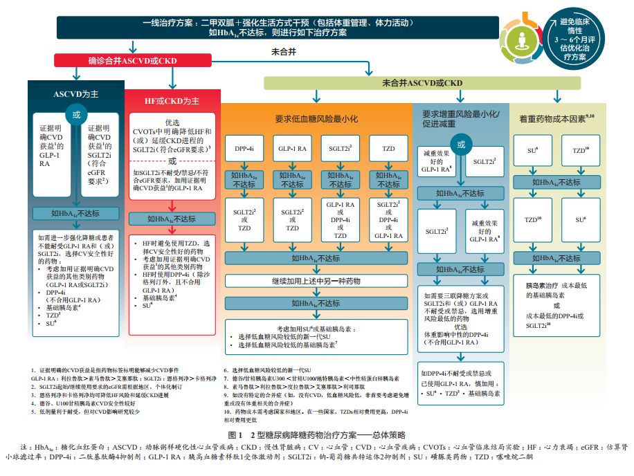 医学指南最新进展，引领未来医疗发展方向的灯塔