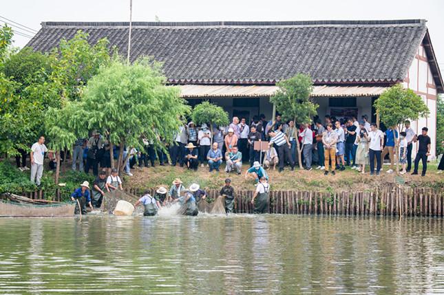 浙江鱼塘最新出租信息及相关探讨热议